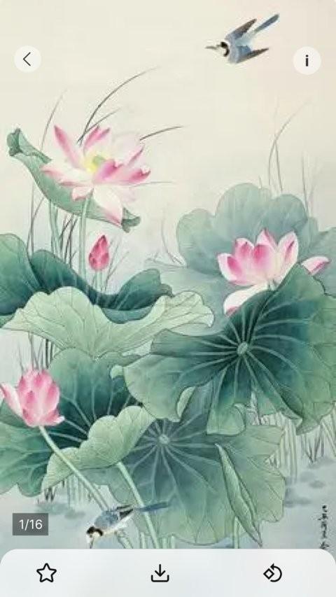 中华艺术馆app v5.3.3