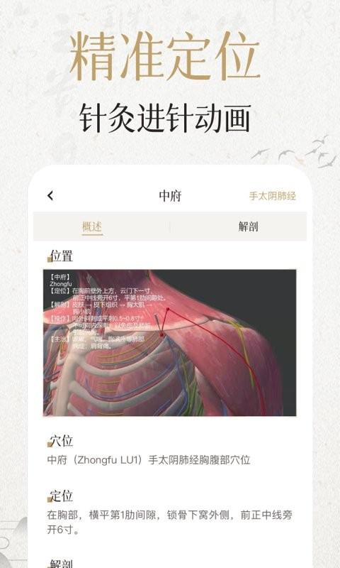 中济经络穴位app v6.3.1