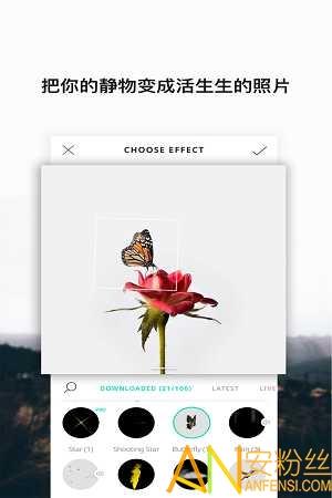 VIMAGE中文版 v4.3.1
