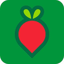 叮咚买菜官方版