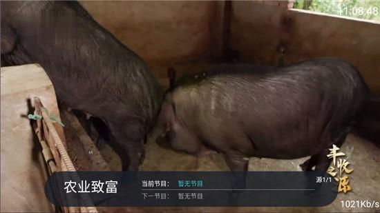 老牛TV电视盒子最新版本 v5.2.3