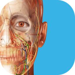 Atlas人体解剖学图谱2026