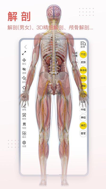 3dbody解剖图手机版 v6.2.1