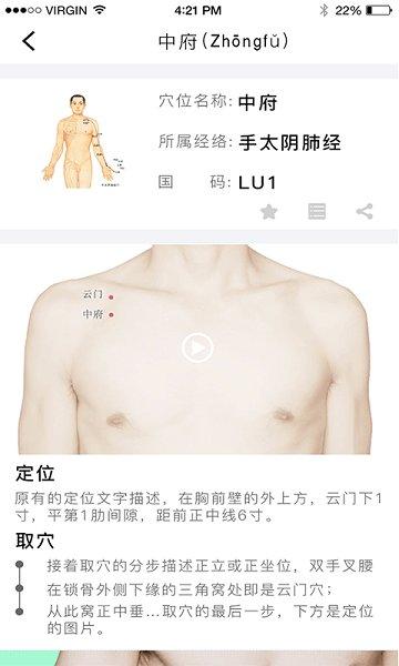 经络穴位图解app v3.3.2