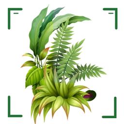 识万物扫一扫app