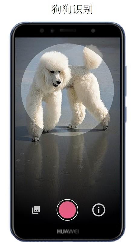 万物识别app(万物头条) v3.4.2