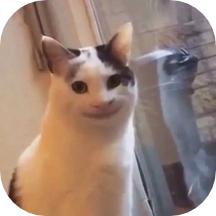 社恐人必备神器