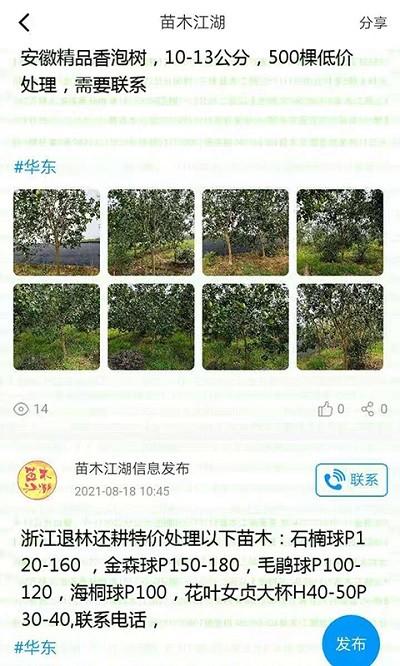 苗木江湖app v3.1.3