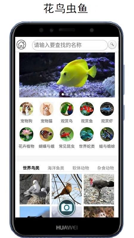 万物识别app(万物头条) v3.4.2