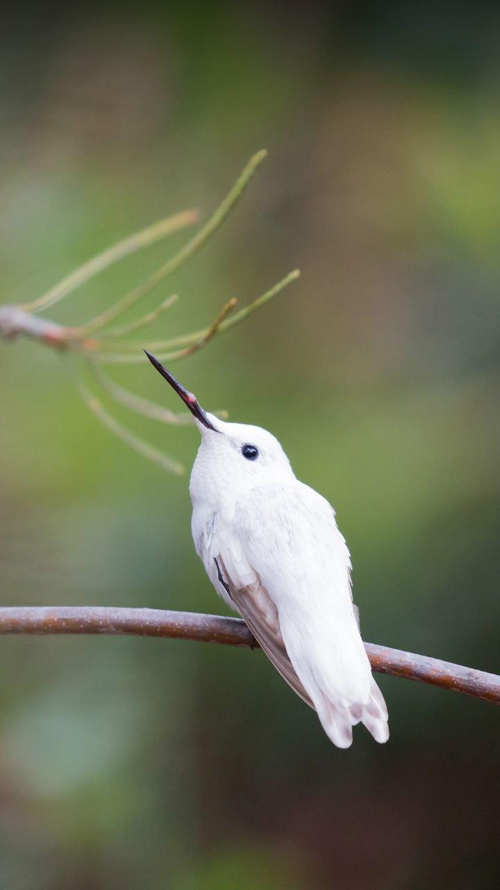 天天美图壁纸 v4.3.2