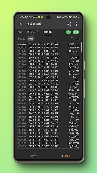 Reqable手机端 v4.3.4