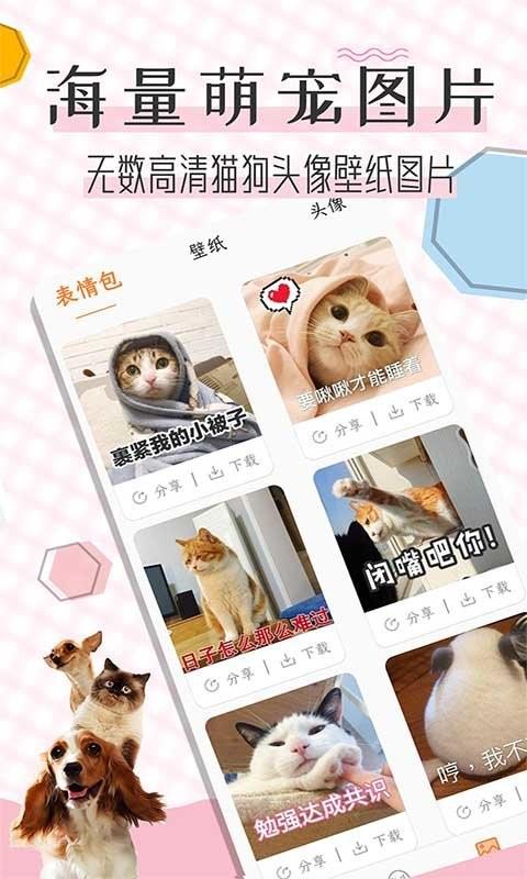 猫语翻译宝app v3.1.2