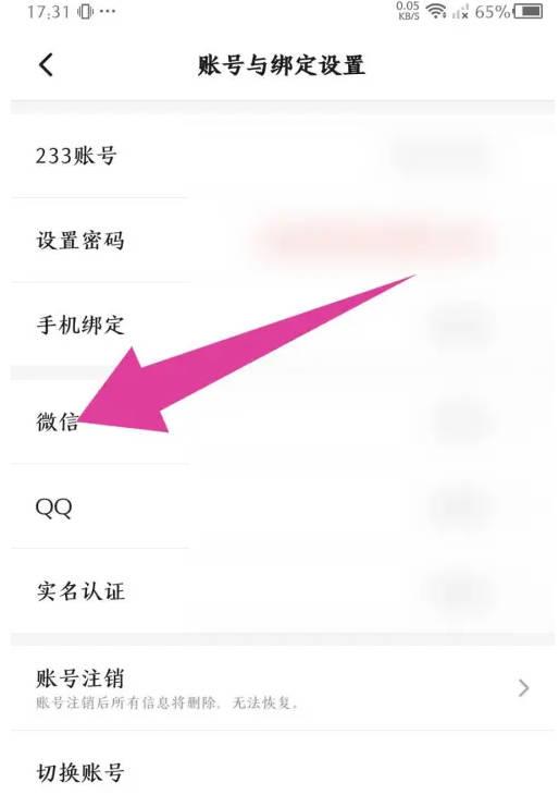 233游乐园不用实名认证版