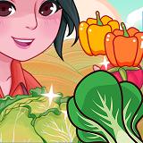 大棚有机菜市场