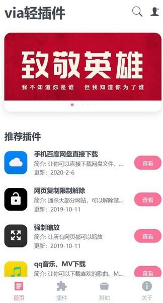 via轻插件最新