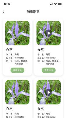绿图