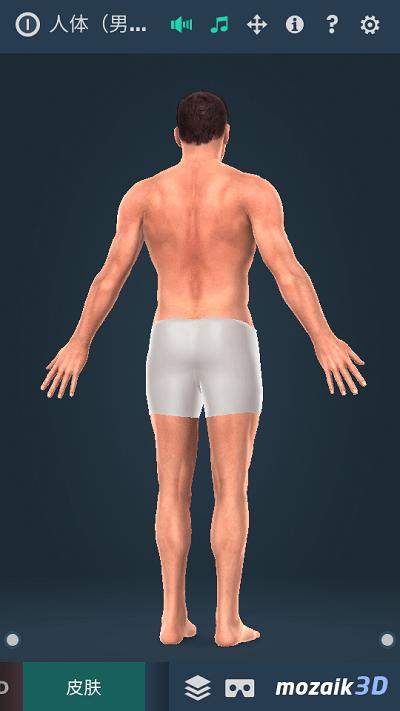 Human body免费
