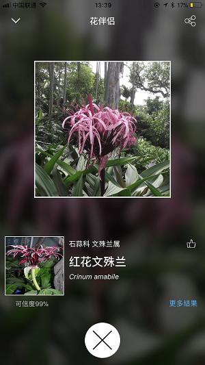 花伴侣拍照识花