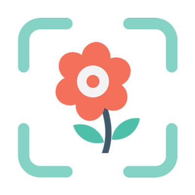 识花草1.3.1手机版