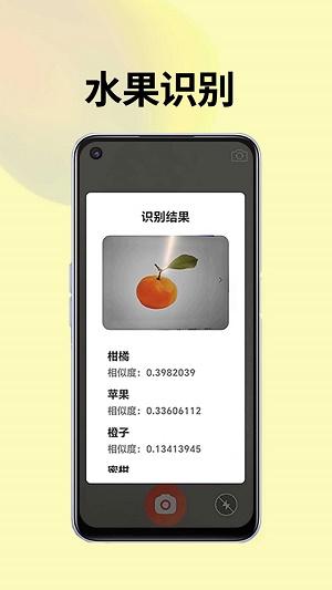 皮皮袋