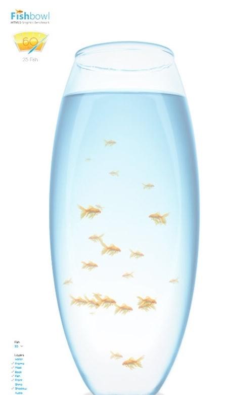 fishbowl