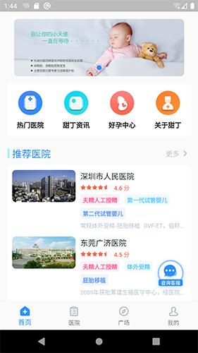甜丁