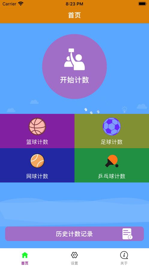 专业球类计数