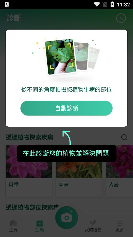 拍照识花识别植物picturethis免费版v5.5.0 中文最新版 v6.2.1