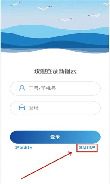 新钢云app