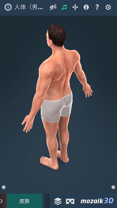 Human body免费