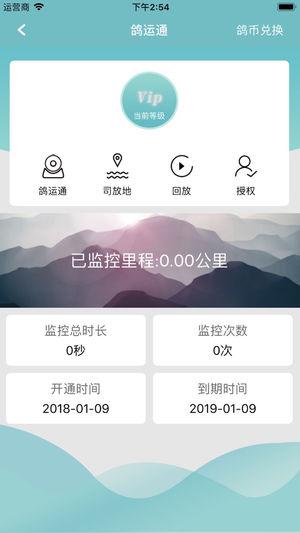 中鸽助手