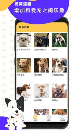 猫狗翻译神器app3.3 安卓最新版 v6.2.4