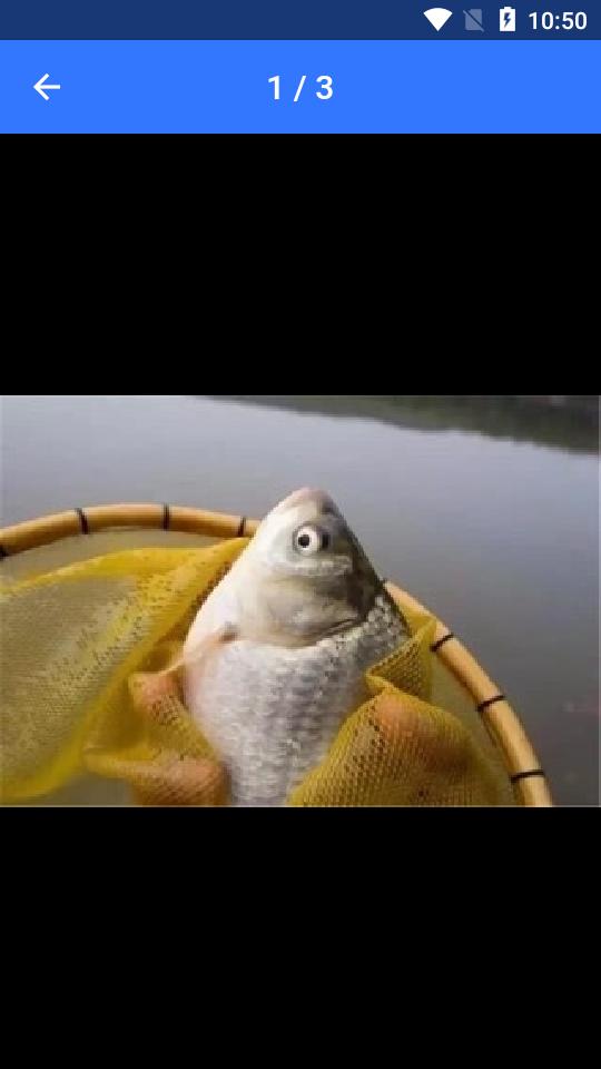 钓鱼通APP1.2.5 最新版 v5.1.3