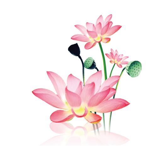 水墨工具箱app安卓手机版v9.9.9 免费版