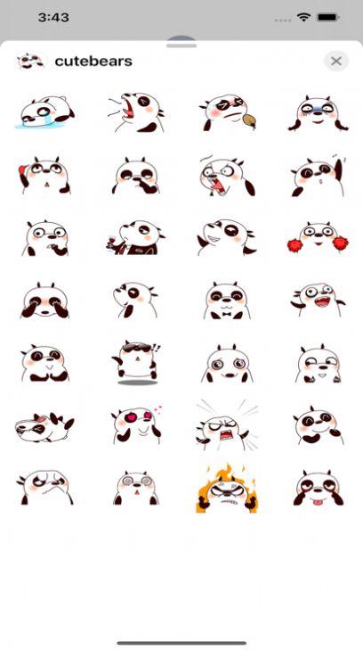 CuteBearss