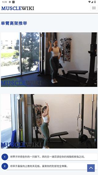 musclewiki