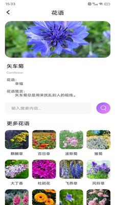 樱桃IM v3.5.1