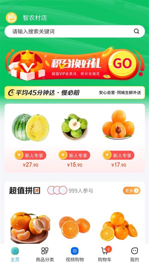 智农村店