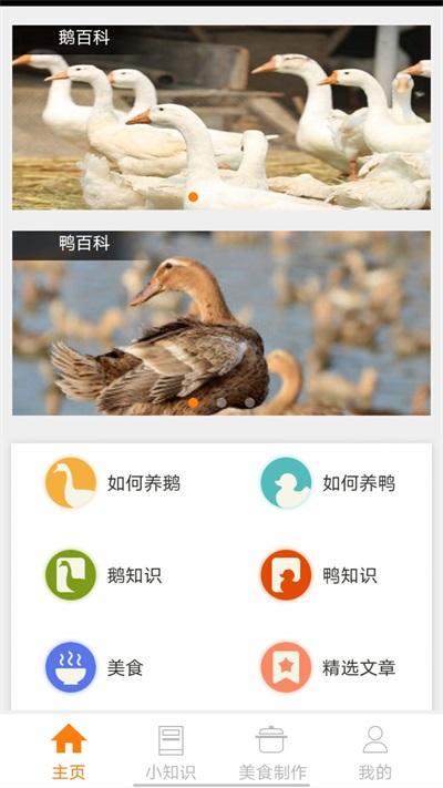 鹅鸭之家2023