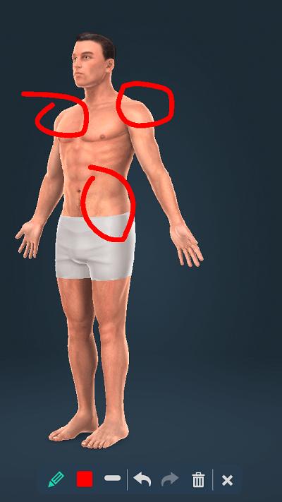 Human body免费