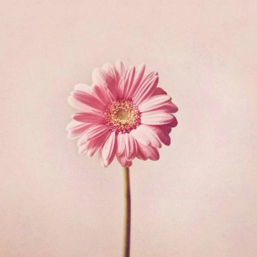 心情物语app无广告版v1.2 安卓版