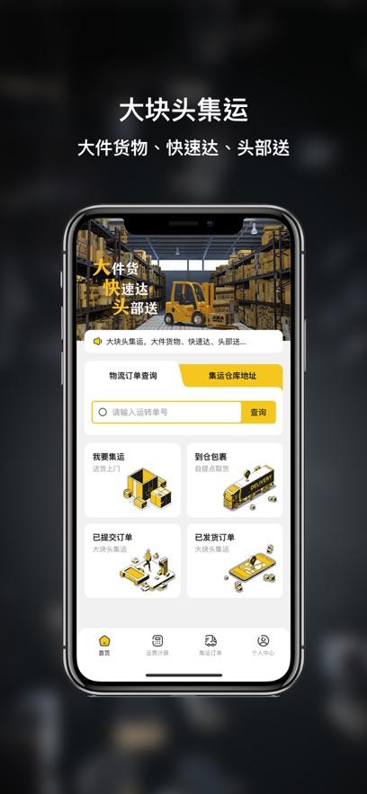 大块头集运