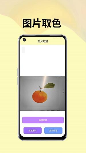 皮皮袋