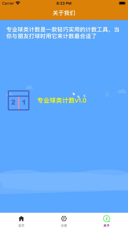 专业球类计数