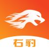 右豹免费