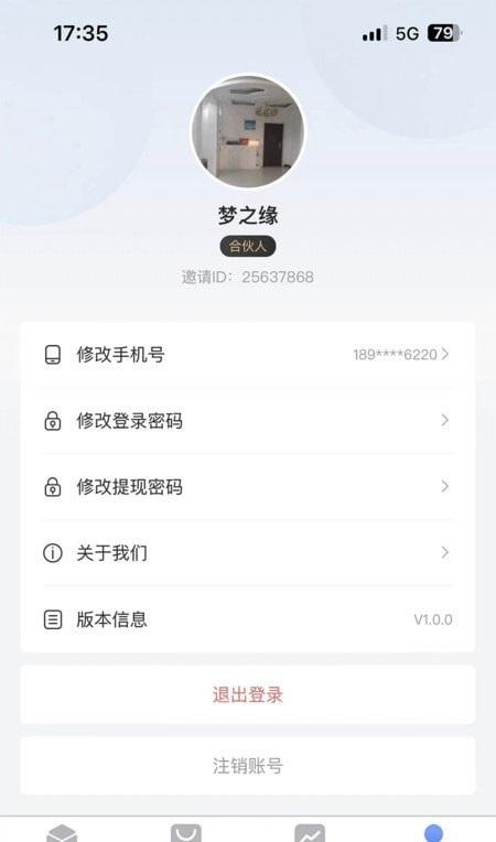 闪投
