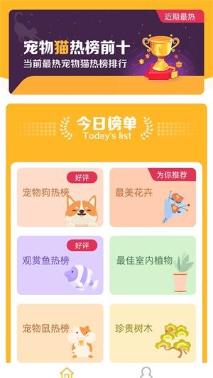 今日榜单