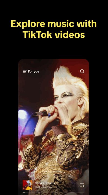 TikTok音乐app(TikTok Music)v1.17.0 国际服最新版