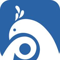 平安版纳公众版v1.1.2 安卓最新版