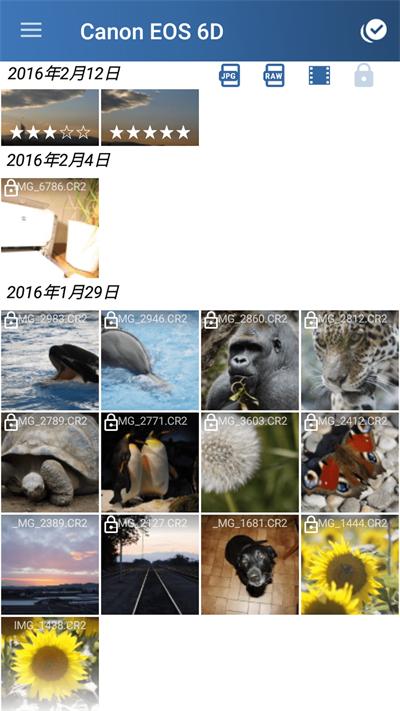 相机连接和控制